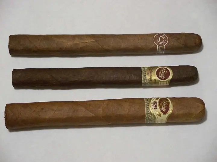 Three Padrón cigars
